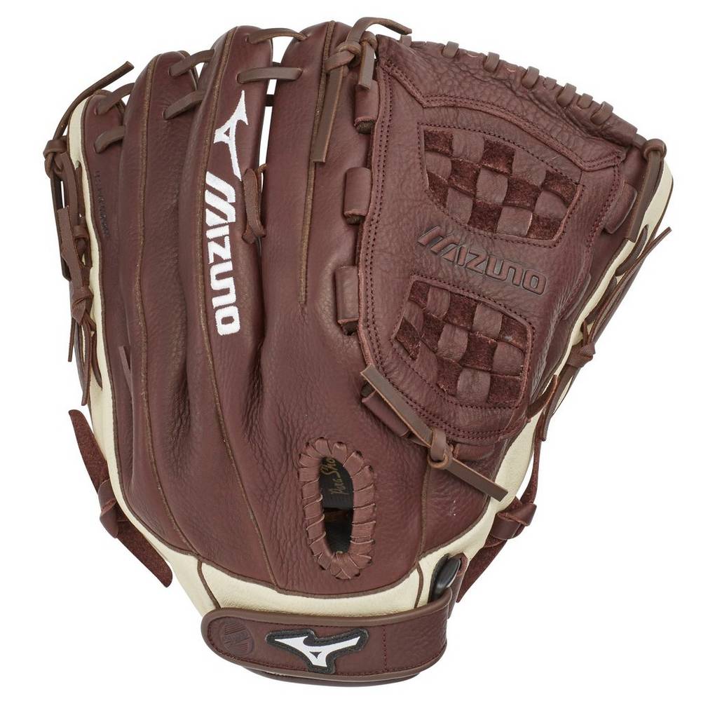 Mizuno Men's Franchise Series Slowpitch Softball Glove 14" Coffee/Silver (312639-JWS)